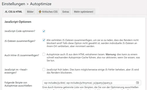 Autoptimize Einstellungen Code optimieren