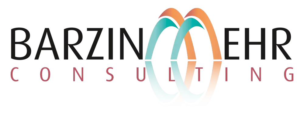 Barzinmehr Consulting