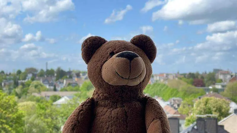 Der Contentbär geht Fischen