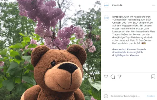 Contentbär Instagram