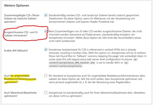 Autoptimize richtig einstellen