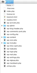 WordPress Website