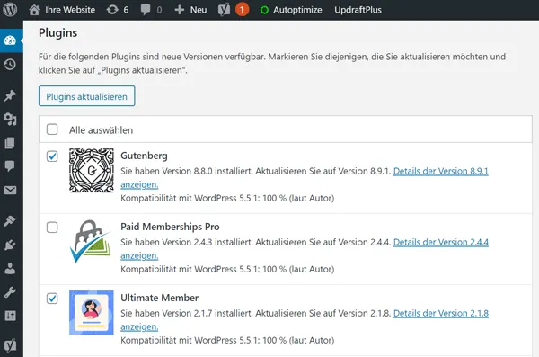 WordPress Plugin Updates installieren über WP-Admin