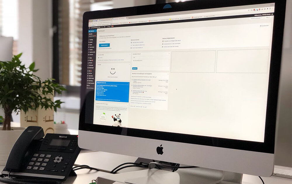 Die Entwicklung von WordPress bis Heute