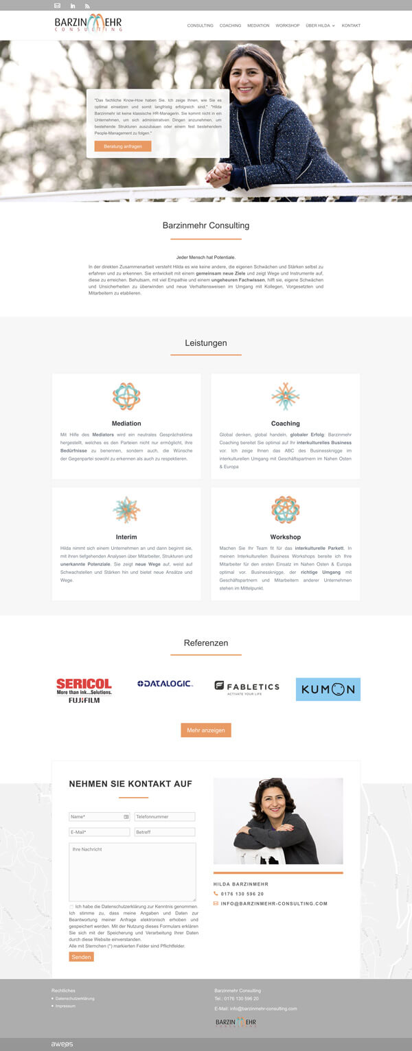 Barzinmehr Consulting